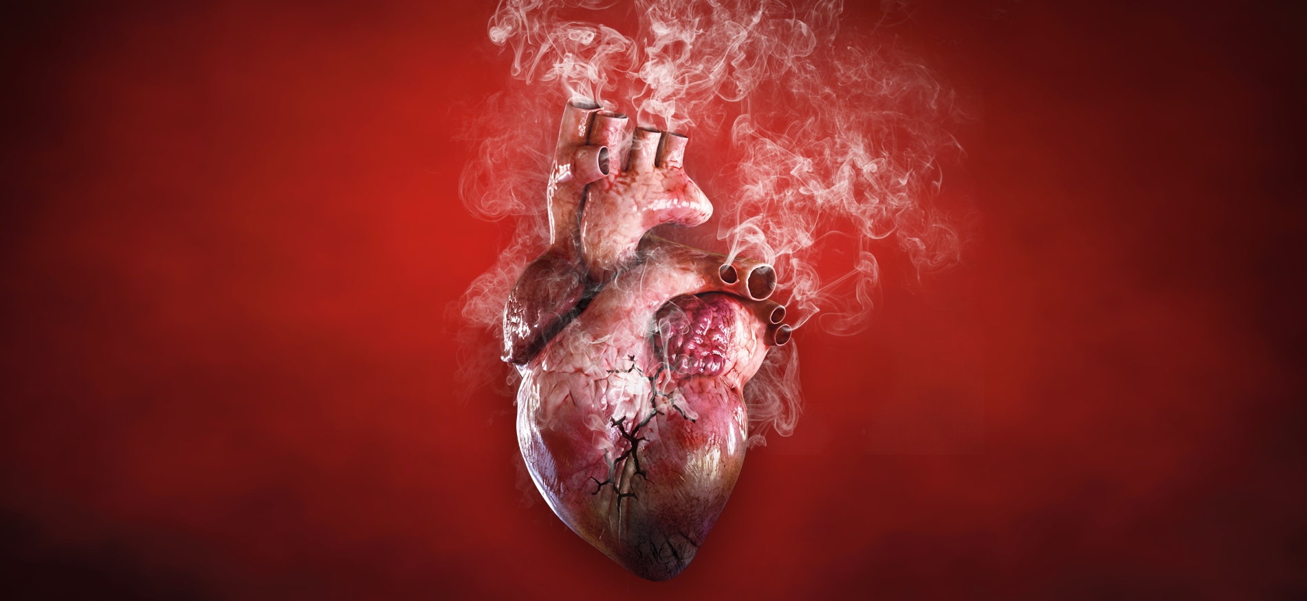 Cover of the 2018 World Malaria Report