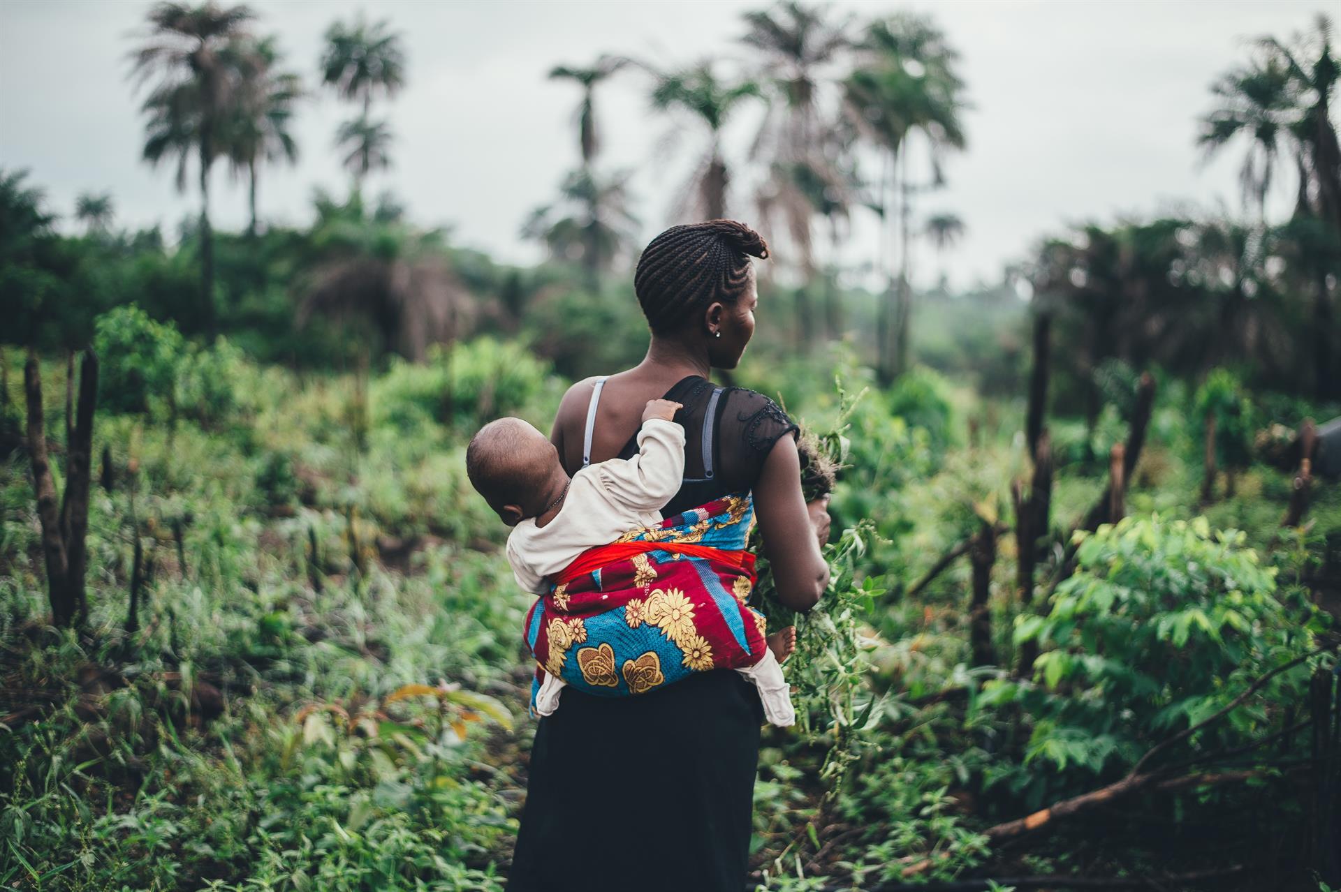 Senegal  Centre of Excellence for Civil Registration and Vital Statistics  Systems