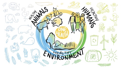 EPI-WIN digest 4 - Emerging zoonotic diseases and the One Health approach: An overview