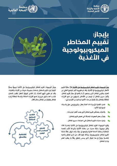 بإيجاز:  
تقييم المخاطر 
الميكروبيولوجية 
في الأغذية