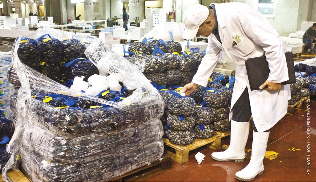 Strengthening national food control systems