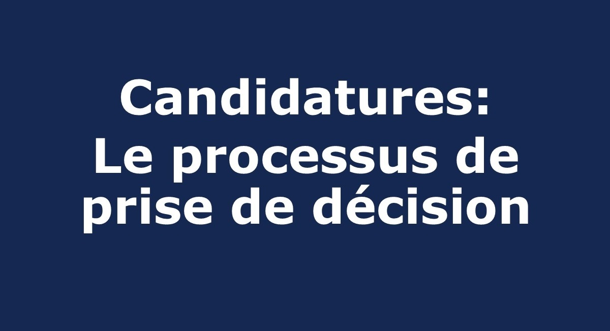 Codex application process - The decision-making process icon