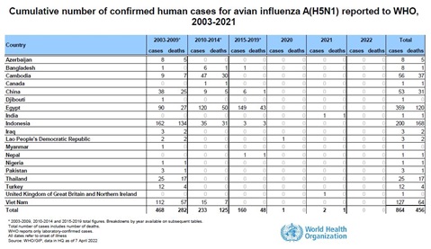 Cumulative number of confirmed human cases for avian influenza A(H5N1) reported to WHO, 2003-2022, 7 April 2022