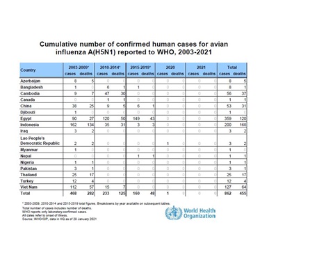 Cumulative number of confirmed human cases for avian influenza A(H5N1) reported to WHO, 2003-2021