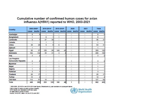 Cumulative number of confirmed human cases for avian influenza A(H5N1) reported to WHO, 2003-2021, 22 June 2021