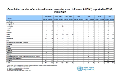 Cumulative number of confirmed human cases for avian influenza A(H5N1) reported to WHO, 2003-2022, 27 June 2022