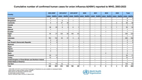 Cumulative number of confirmed human cases for avian influenza A(H5N1) reported to WHO, 2003-2023, 3 March 2023