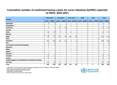 Cumulative number of confirmed human cases for avian influenza A(H5N1) reported to WHO, 2003-2022, 1 March 2022