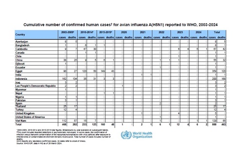 Cumulative number of confirmed human cases for avian influenza A(H5N1) reported to WHO, 2003-2024, 28 March 2024