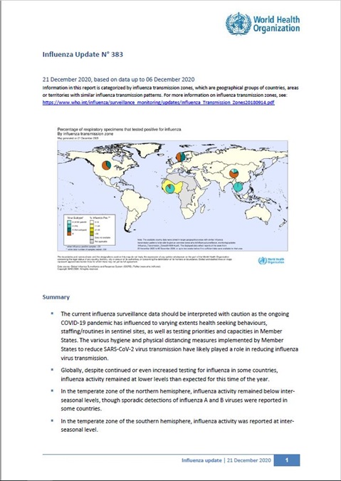 Influenza Update N° 383