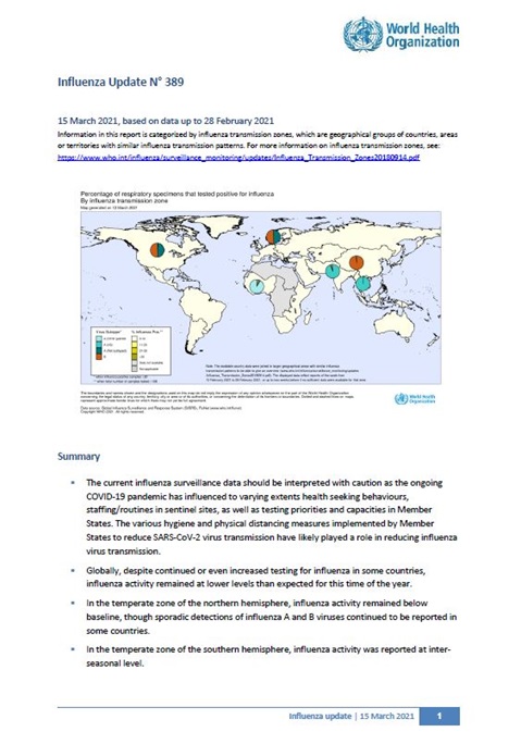 Influenza Update N° 389