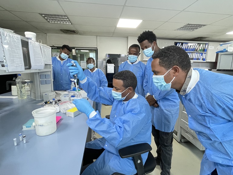 WHO provides onsite laboratory training at the National Influenza
