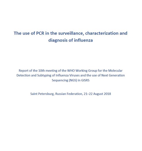 Report of the 10th meeting of the WHO Working Group for the Molecular Detection and Subtyping of Influenza