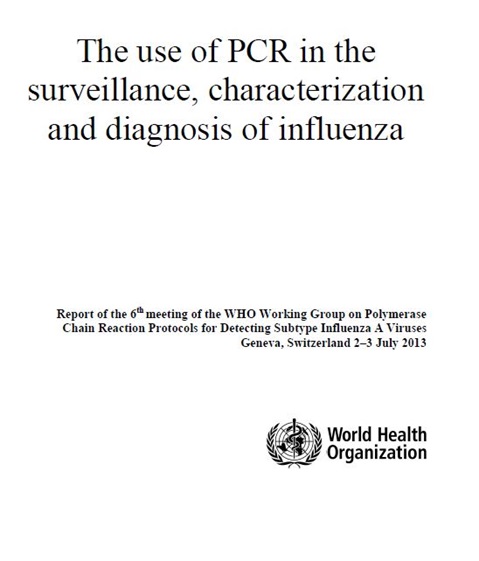 Report of the 6th meeting of the WHO Working Group on Polymerase Chain Reaction Protocols for Detecting Subtype Influenza A Viruses