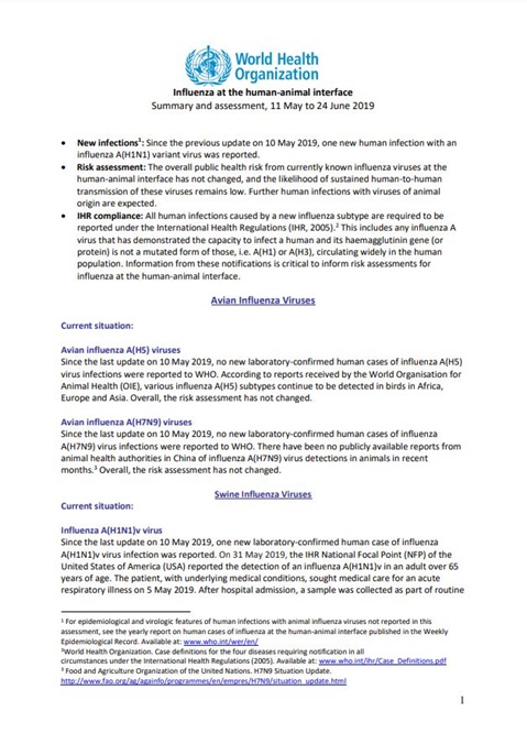 Influenza at the human-animal interface summary and assessment, 24 June 2019