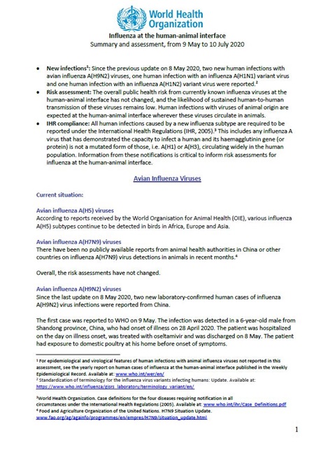 Influenza at the human-animal interface summary and assessment, 10 July 2020