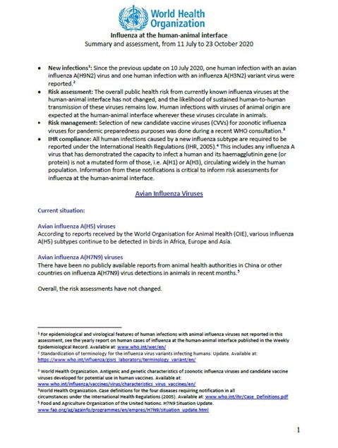 Influenza at the human-animal interface summary and assessment, 23 October 2020