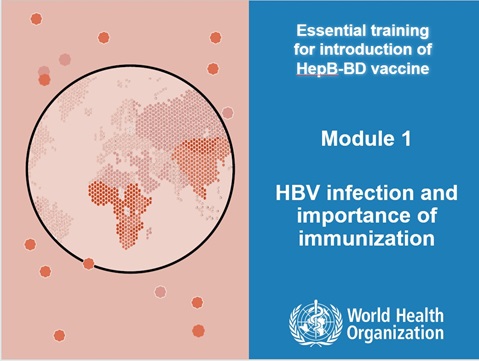 Training Package for Introducing and Strengthening Hepatitis B Birth Dose