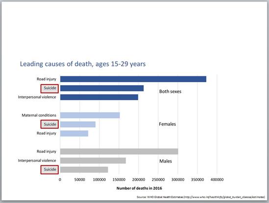 15_29_years_death_leading_causes_2016