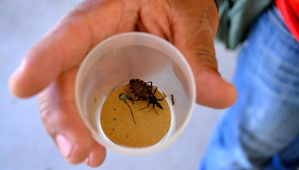 Chagas-Gettyimages-2 Chagas-Gettyimages-2