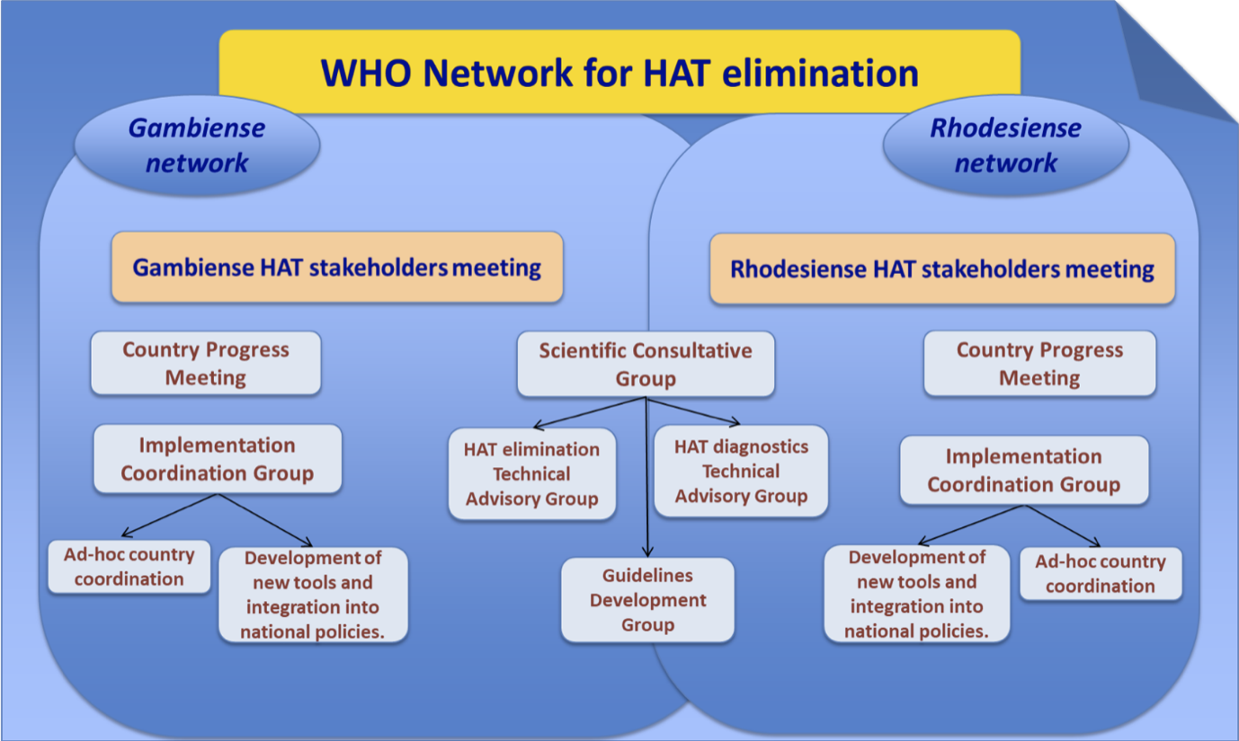 WHO network for HAT elimination diagram