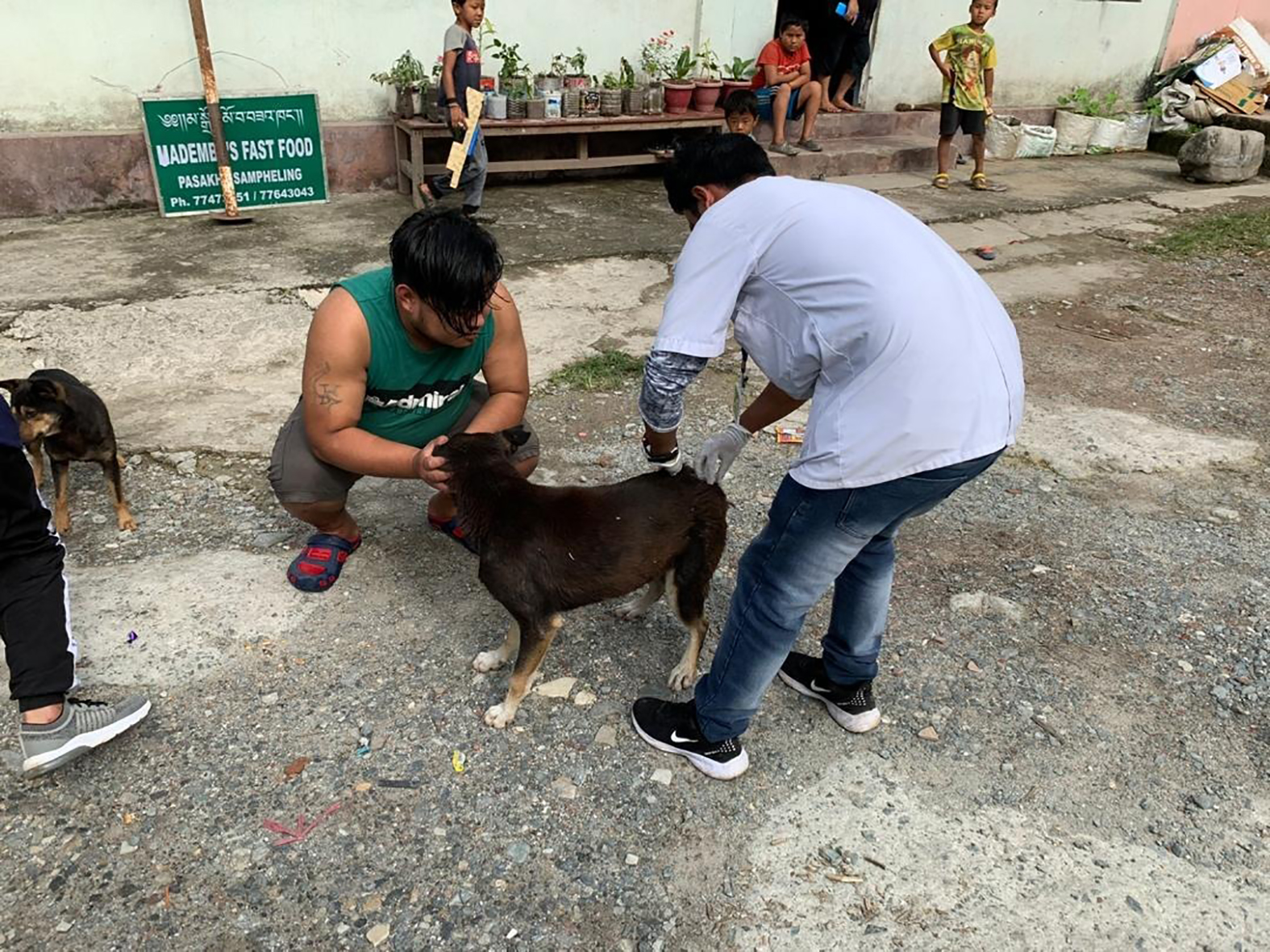 COVID-19 and rabies, Bhutan 2021