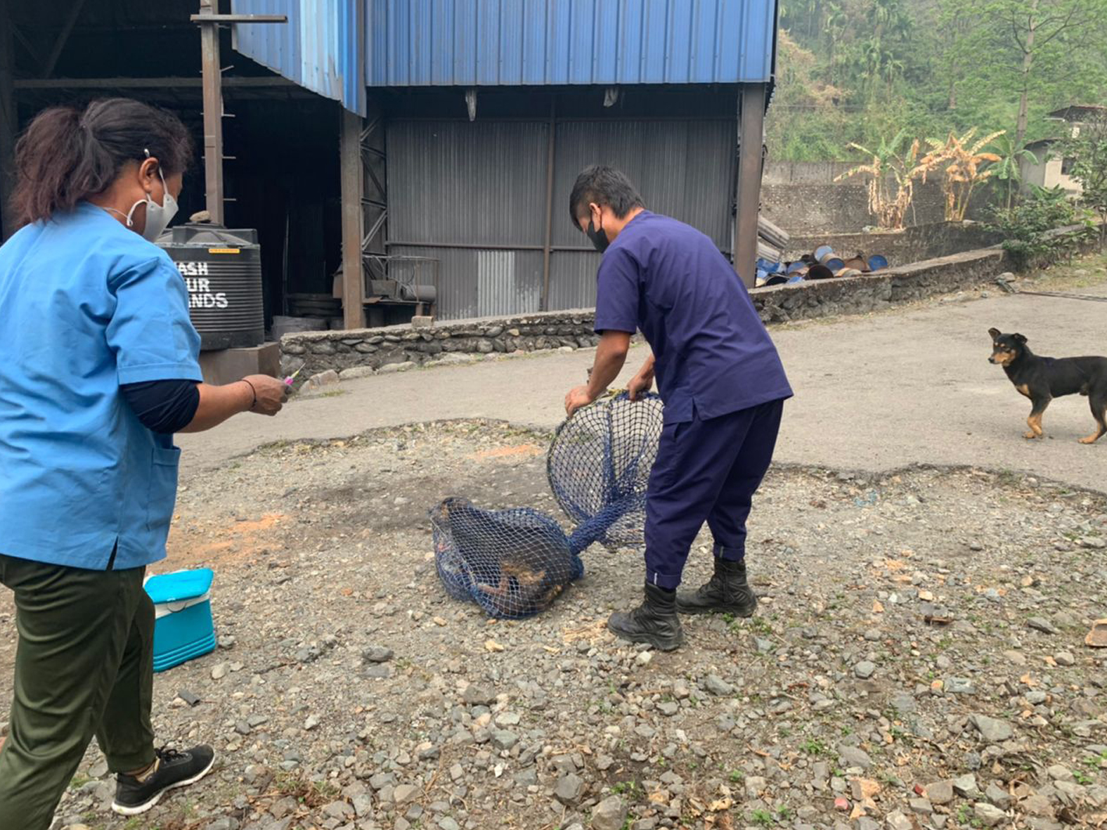 COVID-19 and rabies, Bhutan 2021