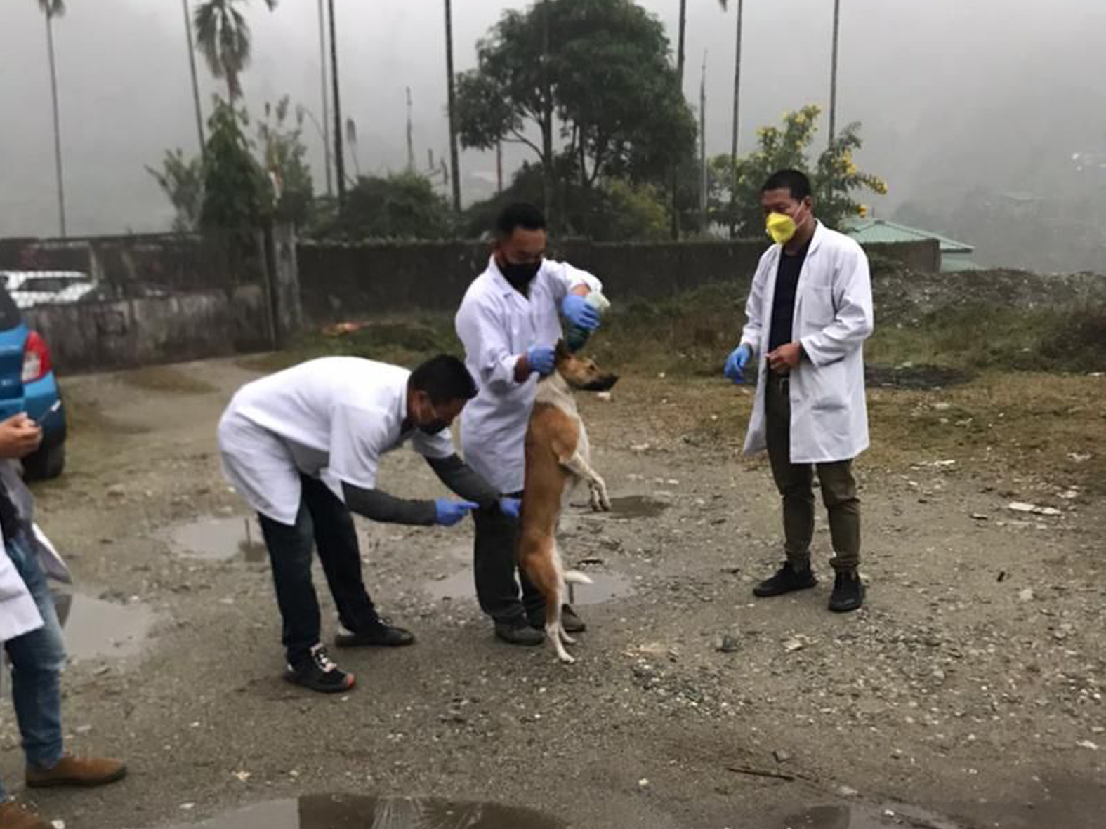 COVID-19 and rabies, Bhutan 2021
