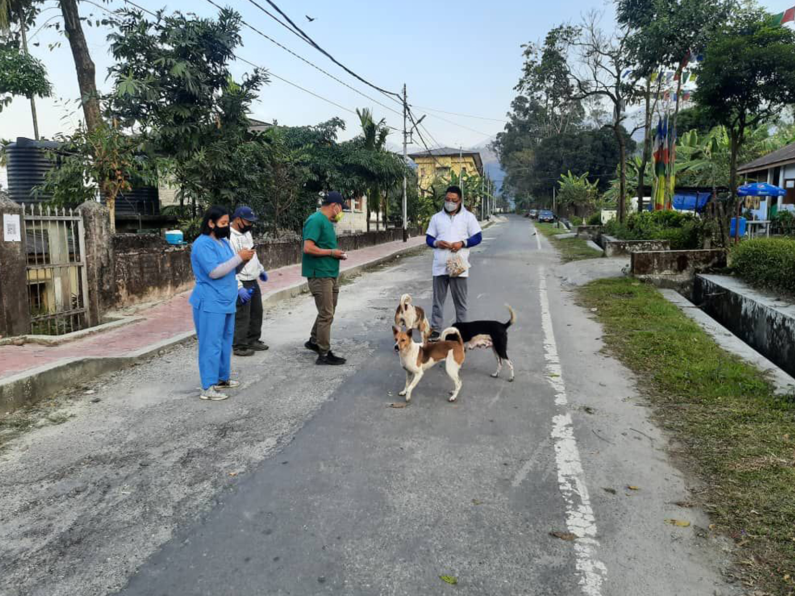 COVID-19 and rabies, Bhutan 2021