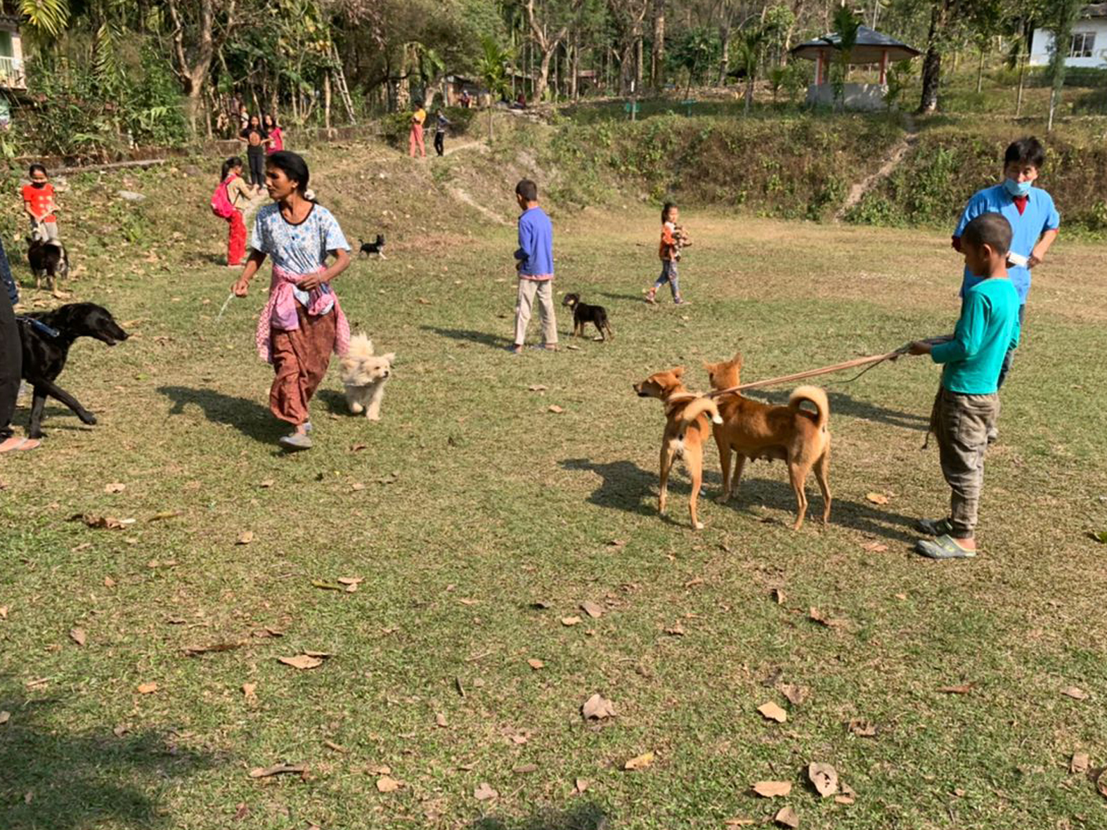 COVID-19 and rabies, Bhutan 2021
