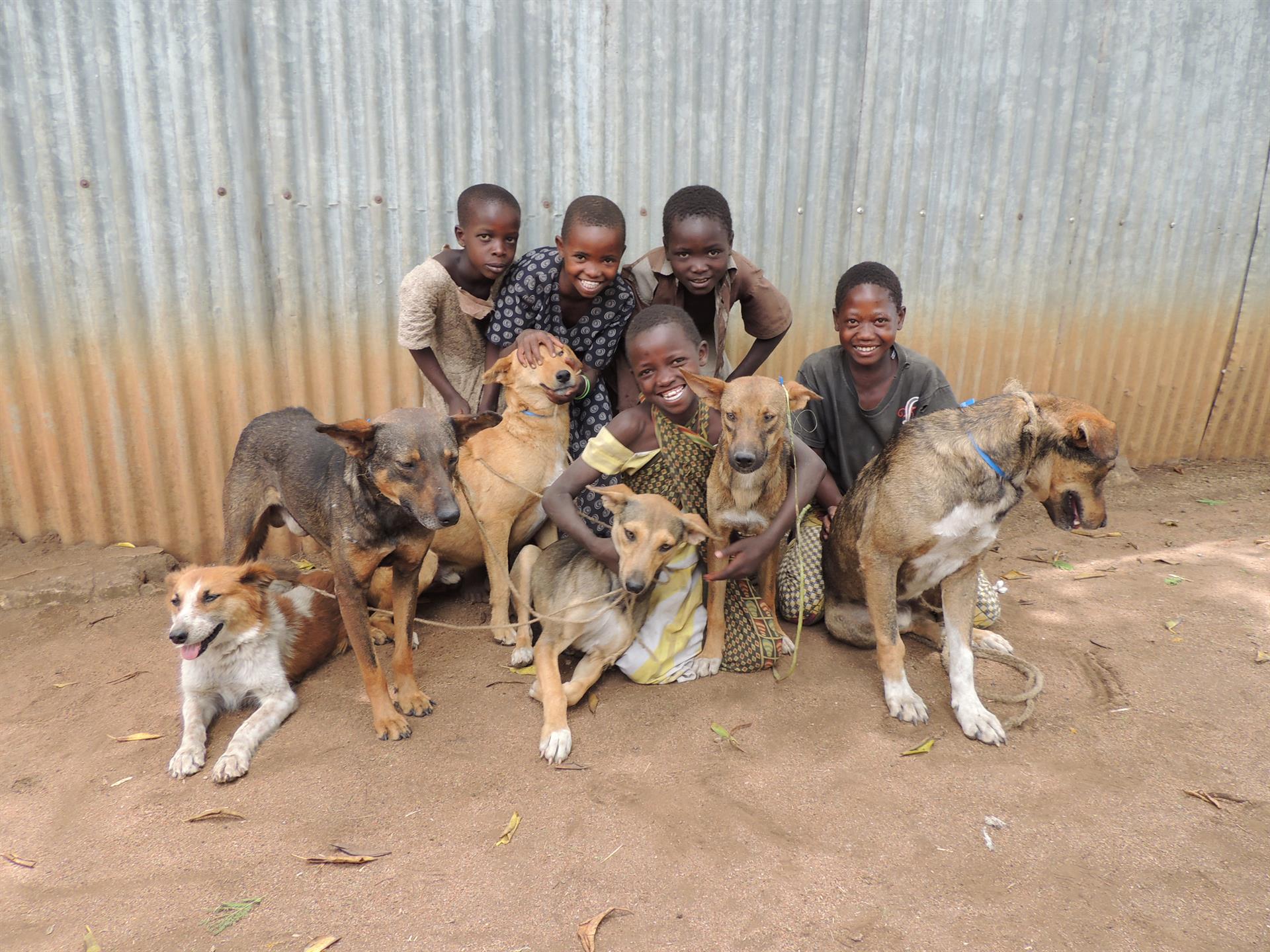 DSCN0922 Mass dog vaccination campaign Africa