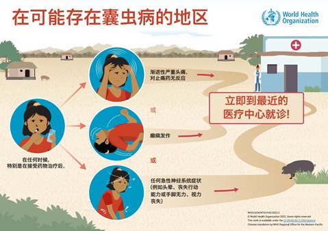 在可能存在囊尾蚴病的地区