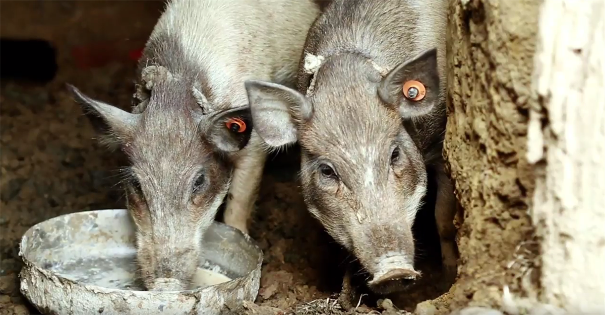 Steps to requesting donated medicines for treatment of epilepsy