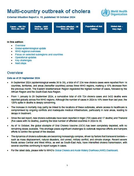 Multi-country outbreak of cholera, External situation report #19 - 18 October 2024
