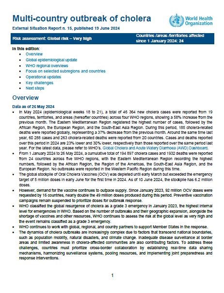 Multi-country outbreak of cholera, External situation report #15 - 19 June 2024