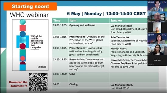 Global sodium webinar - 6 May 2024 video thumbnail