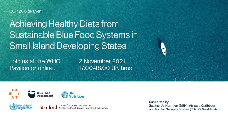 COP26 side event flyer