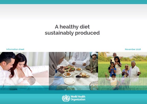 A healthy diet sustainably produced: information sheet