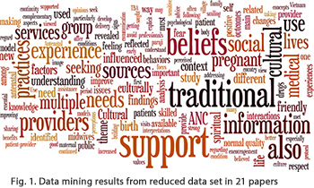 Image: Data mining results