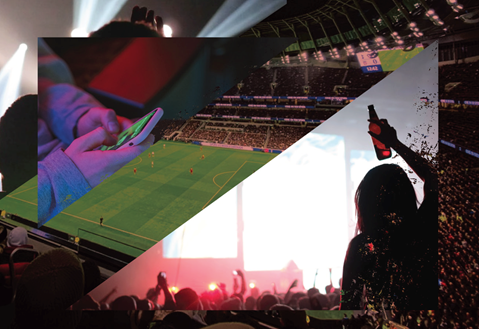 Сокращение вредного употребления алкоголя путем регулирования трансграничного маркетинга, рекламы и стимулирования сбыта алкогольной продукции