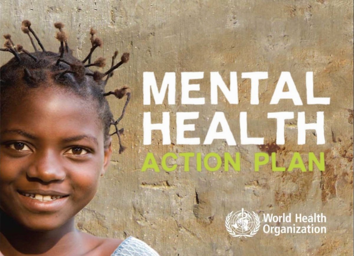 mh action plan