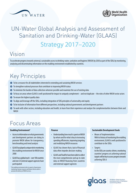 GLAAS Strategy 2017-2020