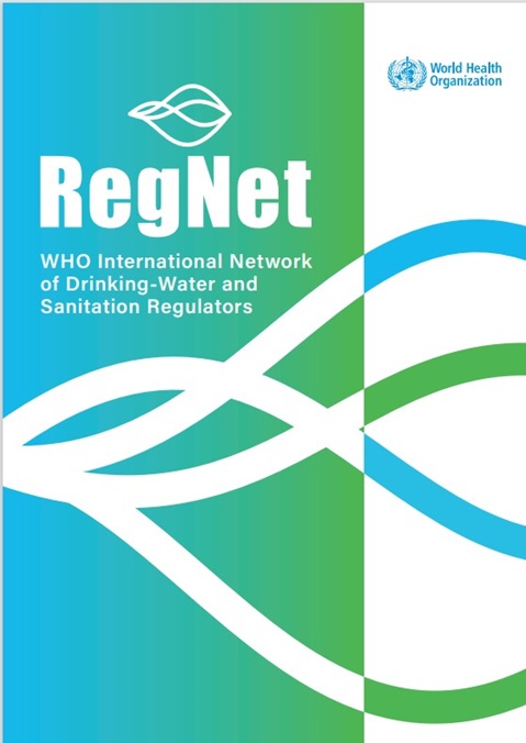RegNet Flyer