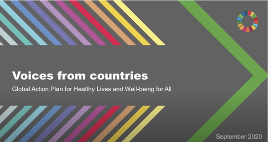 GAP-voices from countries 