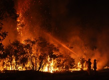 Wildfires