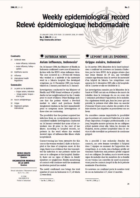 Hepatitis a essay 04 picture