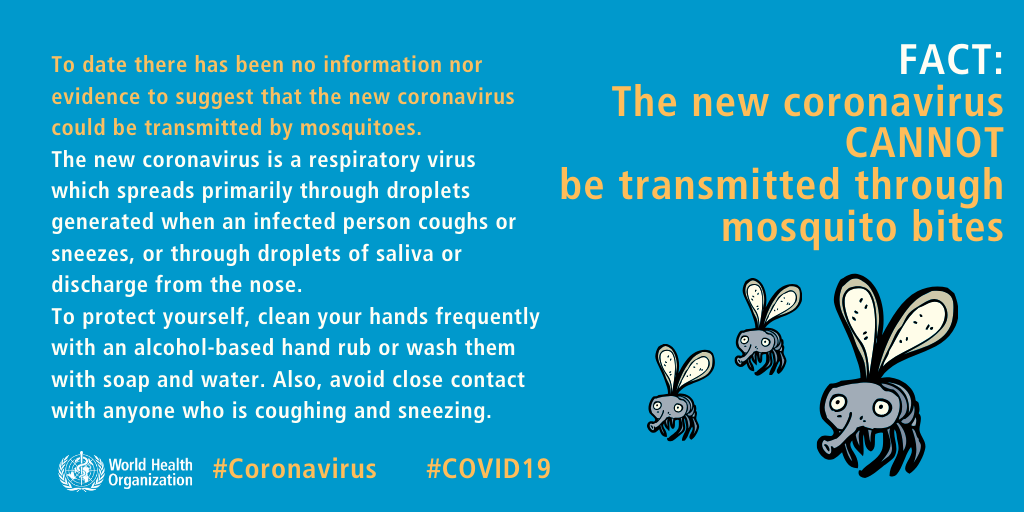 FACT: The new coronavirus CANNOT be transmitted through mosquito bites