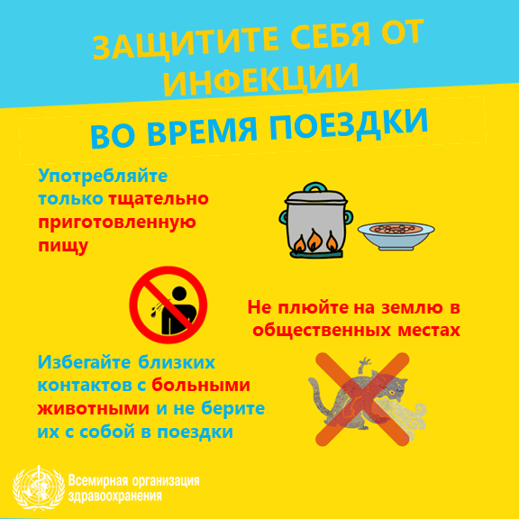Защитите себя от инфекции: Избегайте близких контактов с больными животными