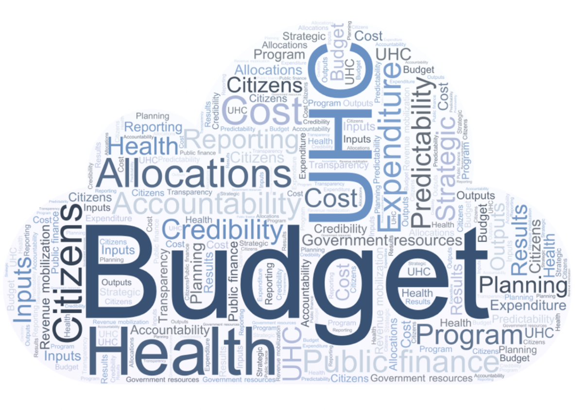 Updated repository of health budgets 2021