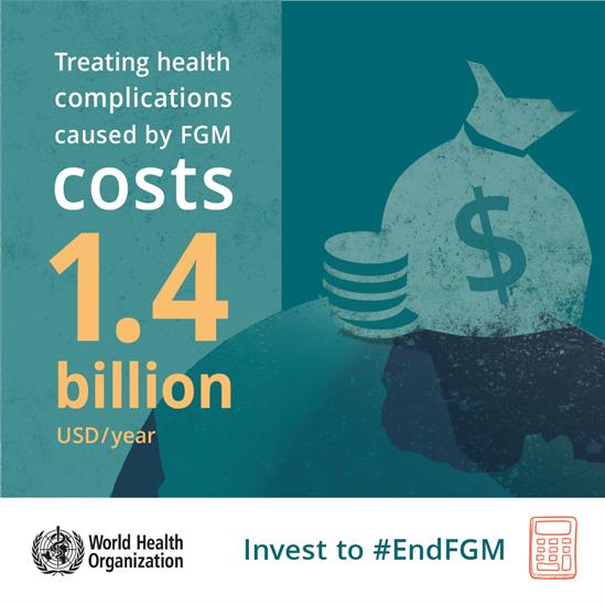 InfographicCostOfFGM-2